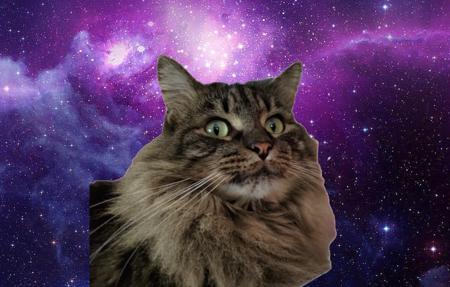 Wild_Cat's Avatar